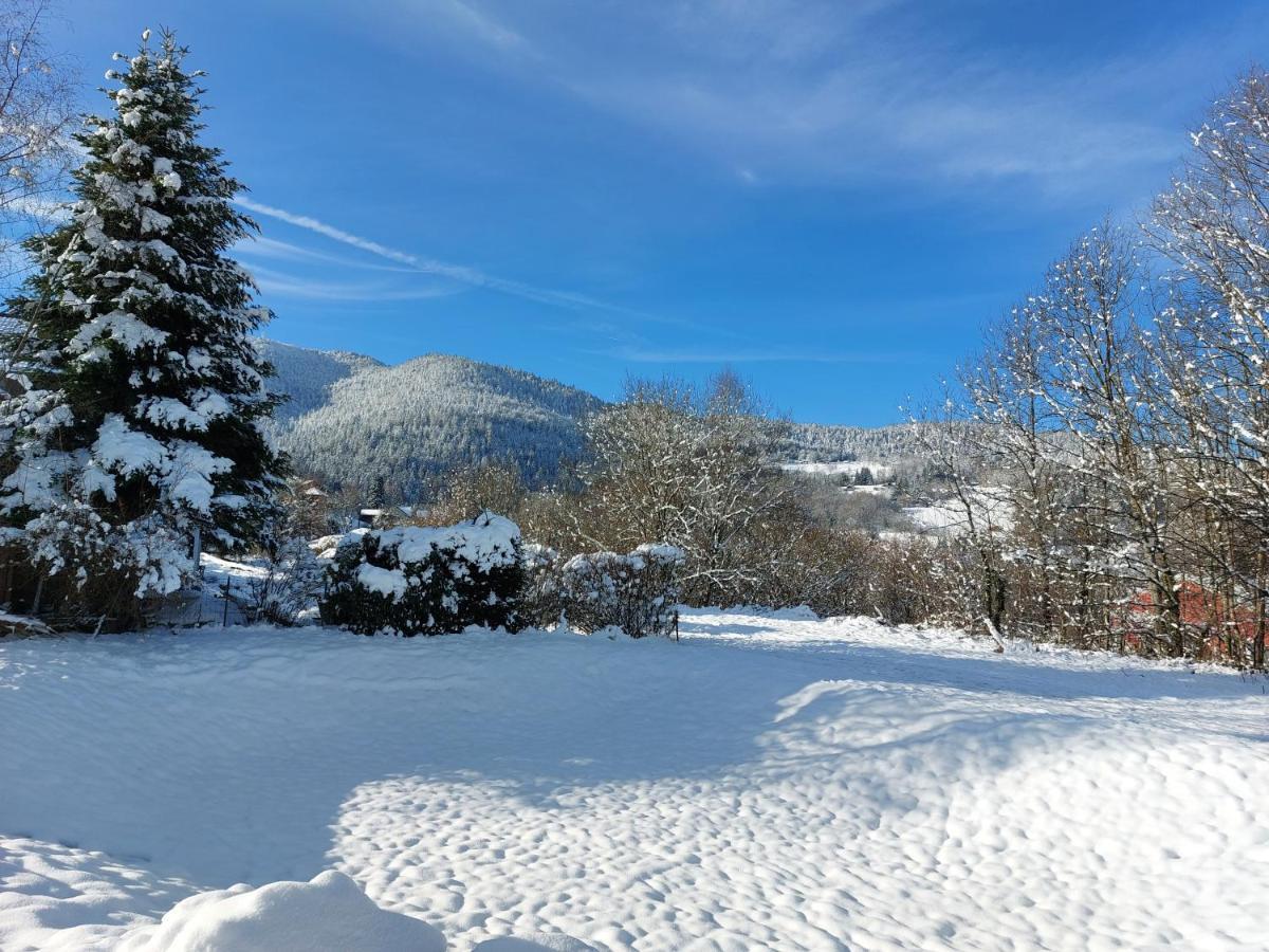 Au Bonheur Fait Maison Bed & Breakfast Saint-Maurice-sur-Moselle Eksteriør bilde